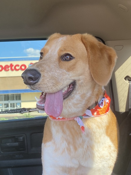 Entry image for Leroy Jethro. Clicking this image will show a larger photo