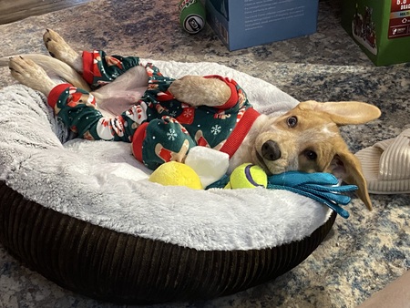 Entry image for Leroy Jethro. Clicking this image will show a larger photo