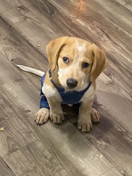 Entry image for Leroy Jethro. Clicking this image will show a larger photo