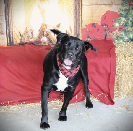 Entry image for Street. Clicking this image will show a larger photo