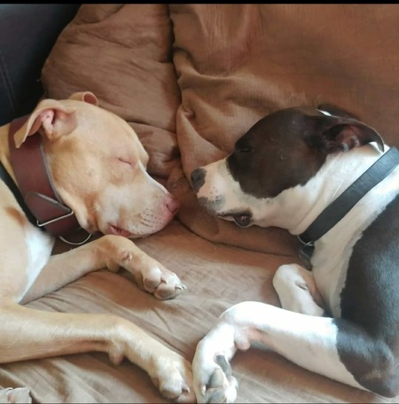 Entry image for Ana and Ollie. Clicking this image will show a larger photo