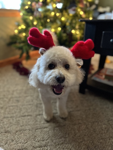 Entry image for Payton. Clicking this image will show a larger photo