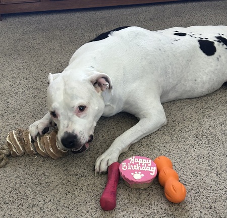 Entry image for Magic. Clicking this image will show a larger photo