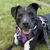 Entry image for Fannie