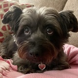 Entry image for Libby