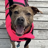 Entry image for Mallory