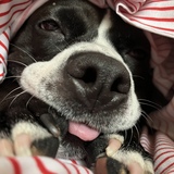 Entry image for MissySue