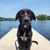 Entry image for Sissy 