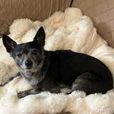 Entry image for Peggy