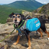 Entry image for Topper