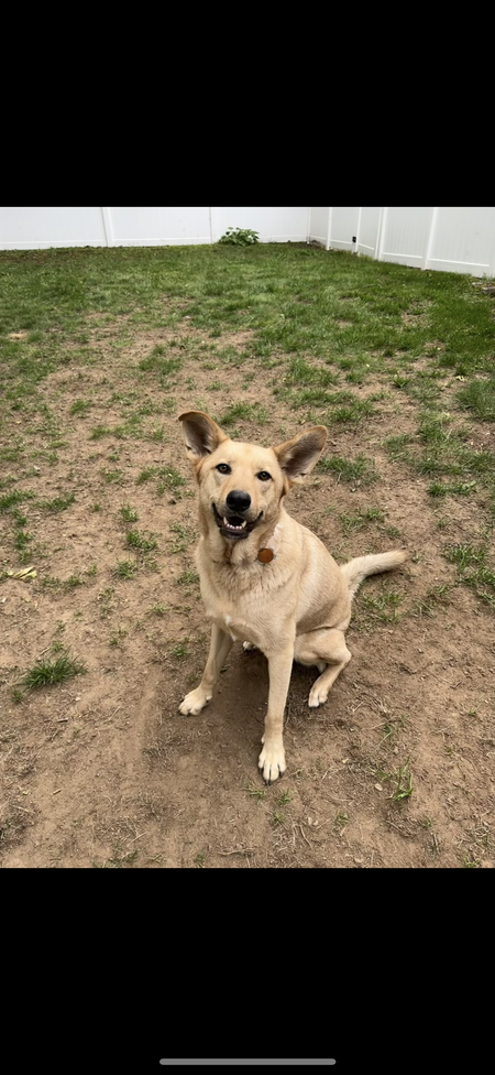 Entry image for Cal. Clicking this image will show a larger photo