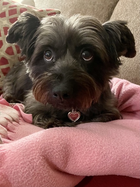 Entry image for Libby. Clicking this image will show a larger photo