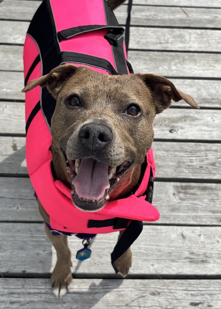 Entry image for Mallory. Clicking this image will show a larger photo