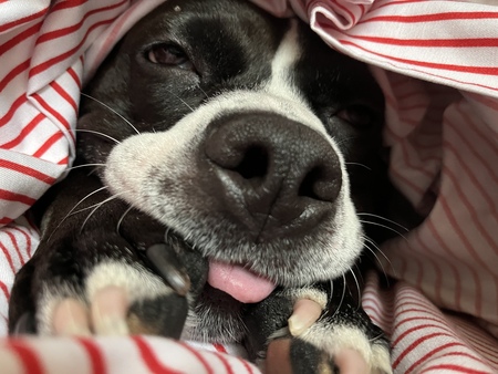 Entry image for MissySue. Clicking this image will show a larger photo