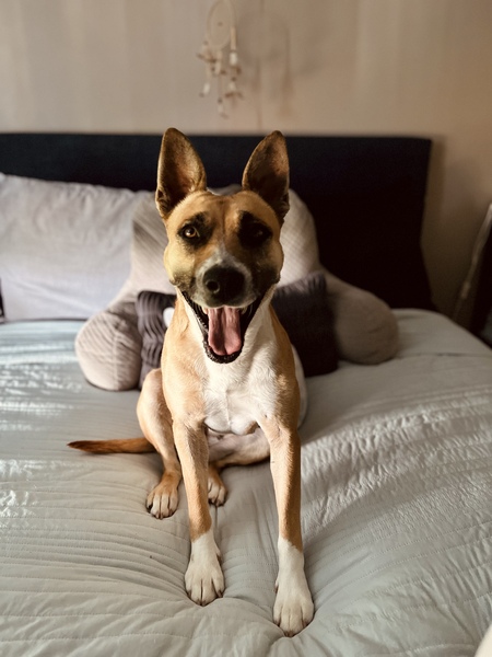 Entry image for Honey. Clicking this image will show a larger photo