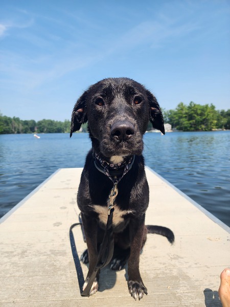 Entry image for Sissy . Clicking this image will show a larger photo