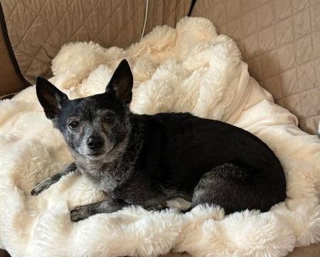 Entry image for Peggy. Clicking this image will show a larger photo