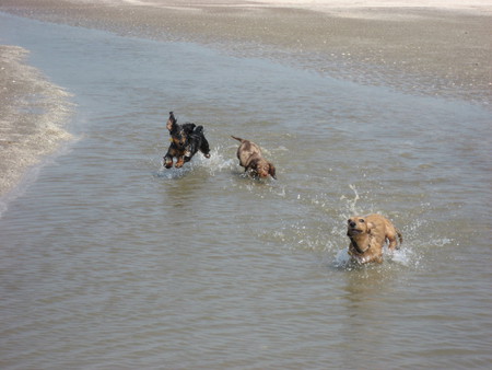 The Chase