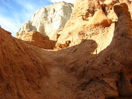 Houston explores Goblin Valley