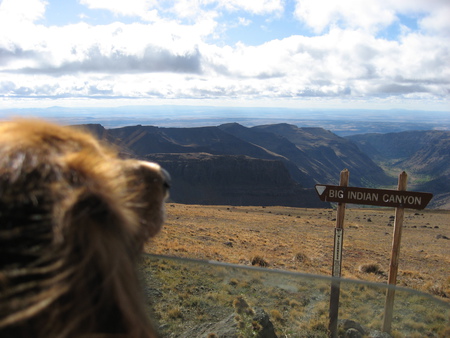 Enjoying the view