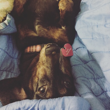Ellie