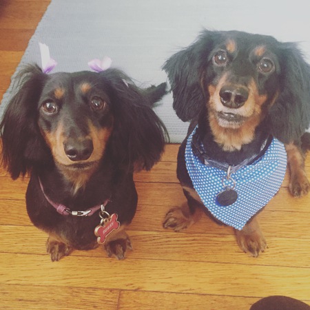 Vinny and Sunny