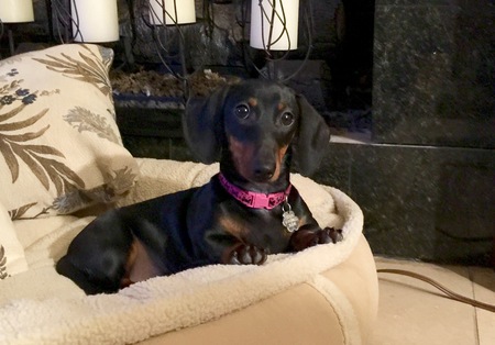 Chloe