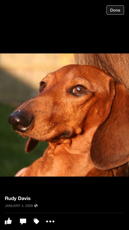 Rudy