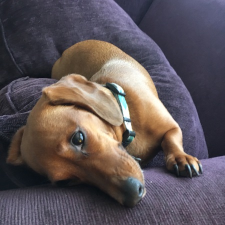 Lola
