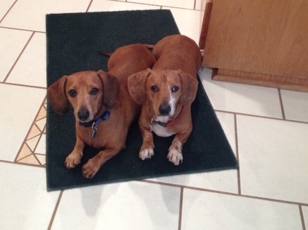 Jamis and Arlie