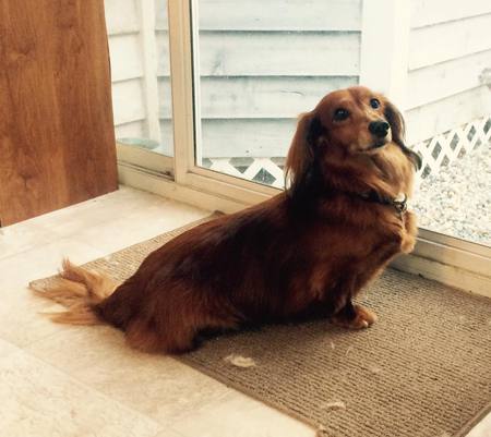Charlie