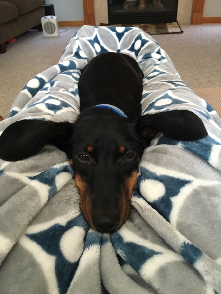 Ruger