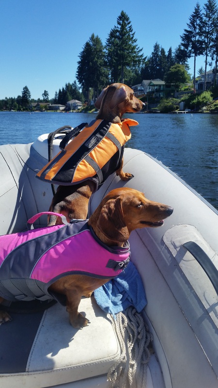 Molly Sue & Lila