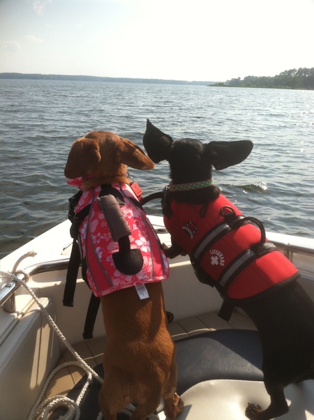 Annie (left)  and Shelby