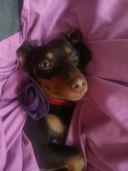  Ellie