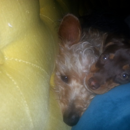 Archie and Ellie