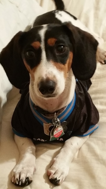 Cooper