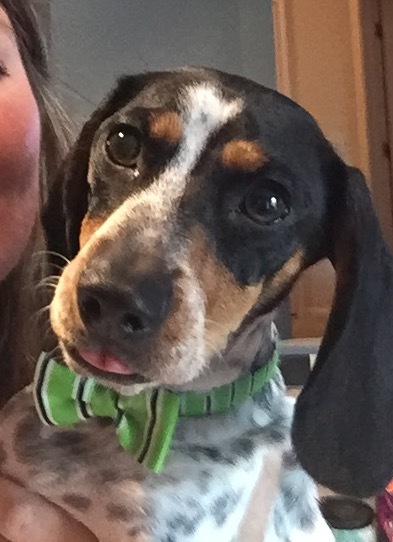 Oliver