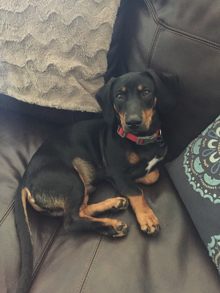 Max