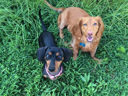 Ramsey and Norman