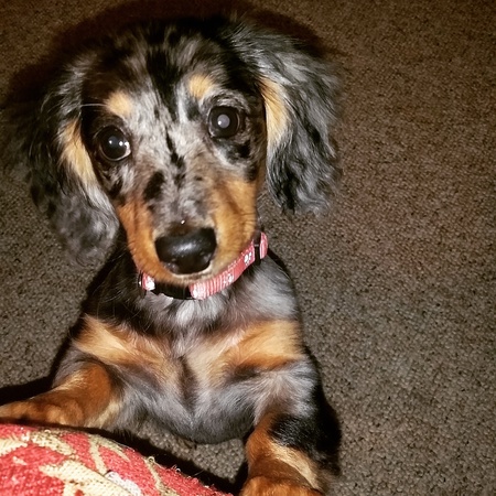 Lucy