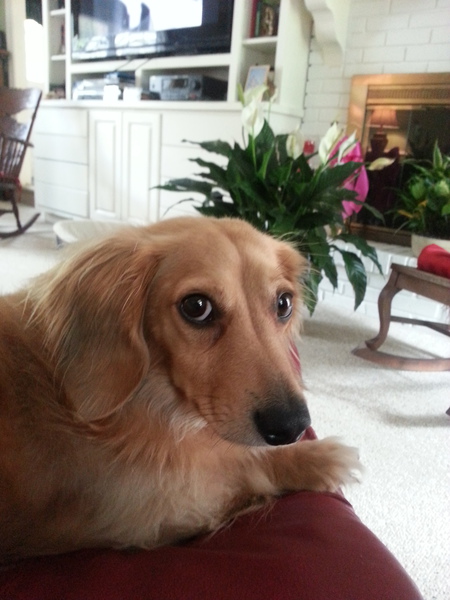 Romeo