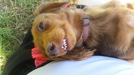 Tilly