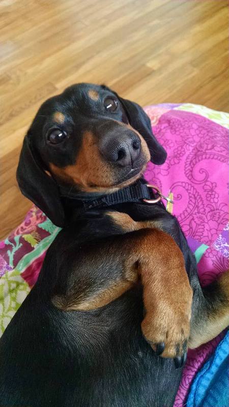 Slinky