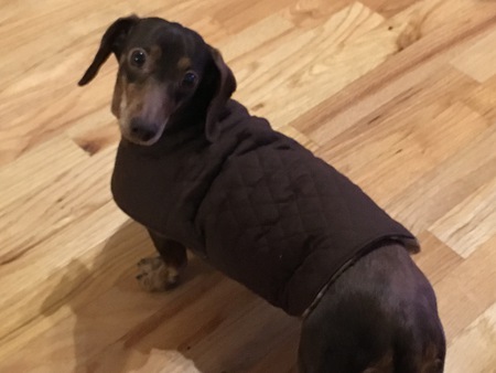 Tasha