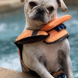 Entry image for Teagan