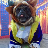 Entry image for Huckleberry 