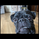 Entry image for Douglas 