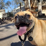 Entry image for Sweet James