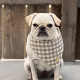 Entry image for Billie bean